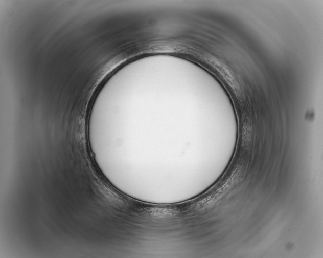 X0000103491465200810031554