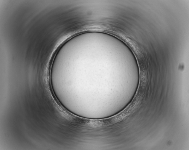 X0000103491466200810031554