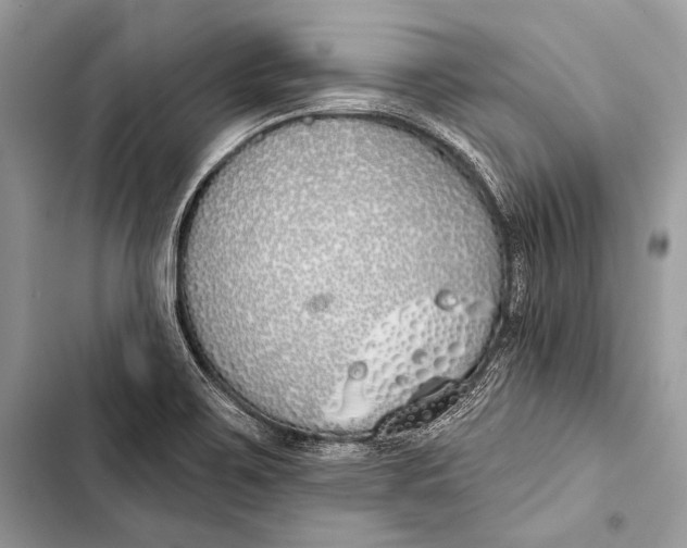 X0000103491467200810031554