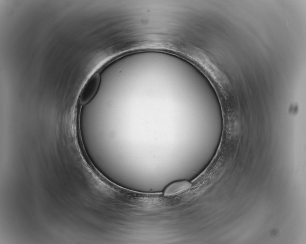 X0000103491468200810031554