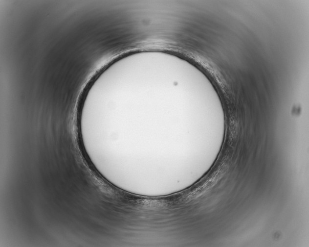 X0000103491469200810031554