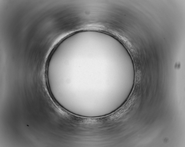 X0000103491470200810031554