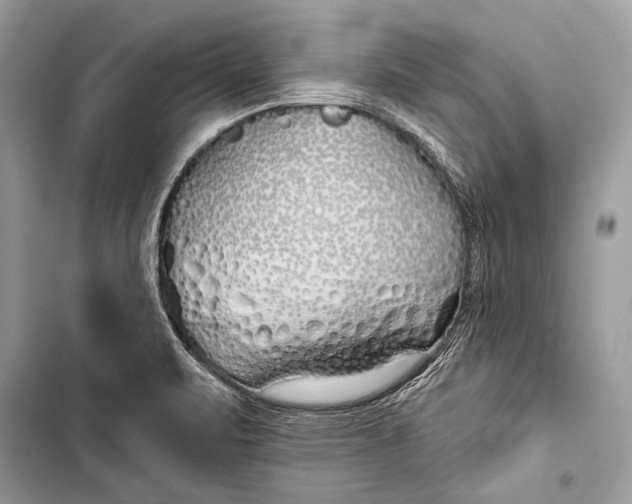 X0000103491471200810031554