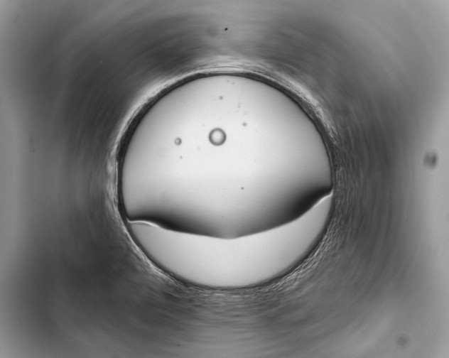 X0000103491472200810031554