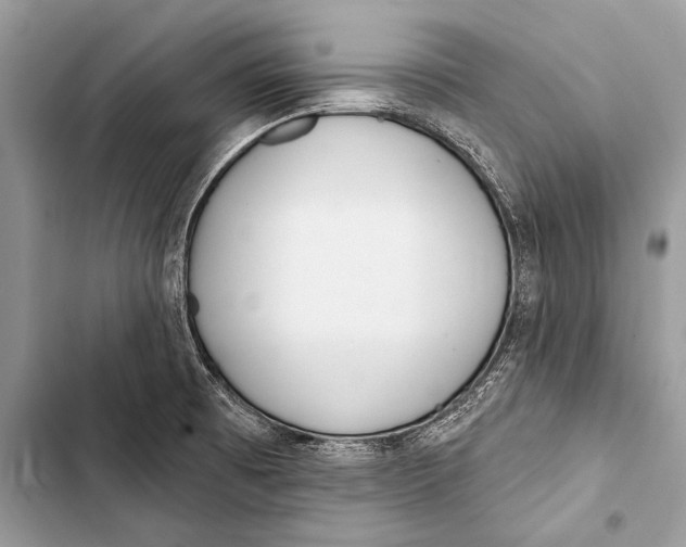 X0000103491473200810031554