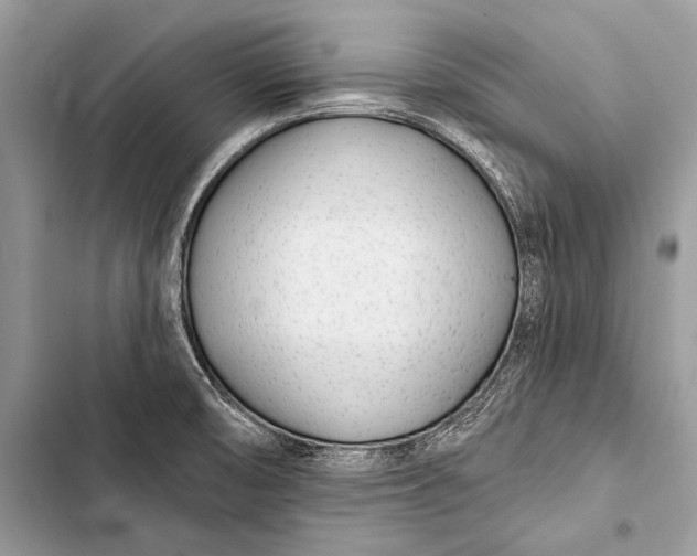 X0000103491474200810031554