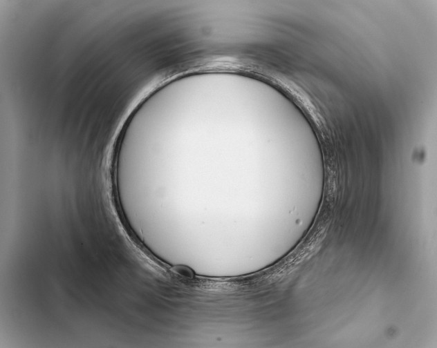 X0000103491475200810031554