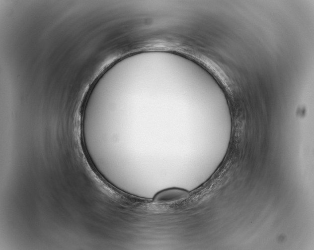 X0000103491476200810031554