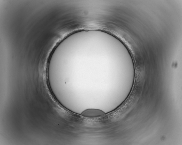 X0000103491477200810031554