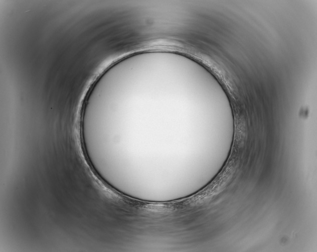 X0000103491478200810031554