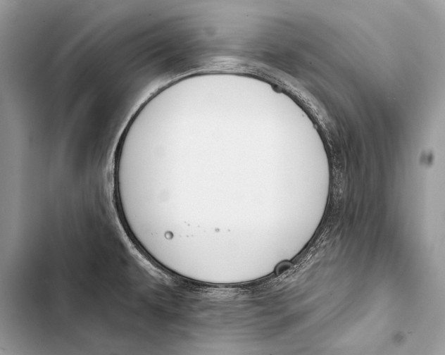 X0000103491479200810031554