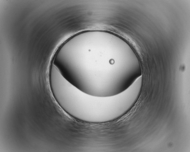 X0000103491480200810031554