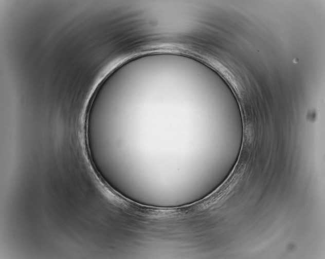 X0000103491482200810031554