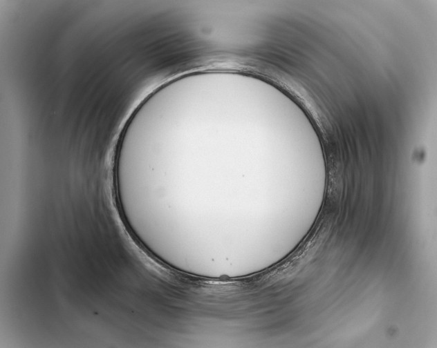 X0000103491483200810031554