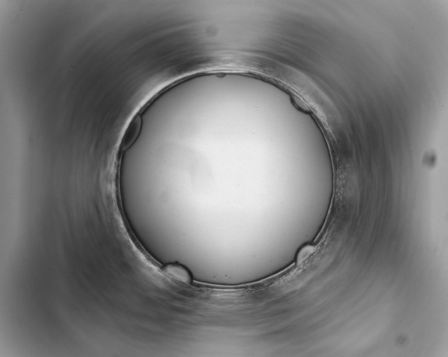 X0000103491484200810031554