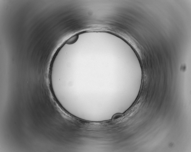 X0000103491485200810031554