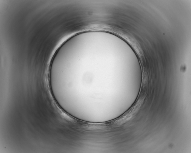 X0000103491486200810031554