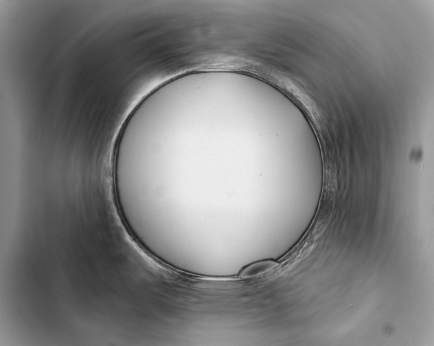 X0000103491487200810031554