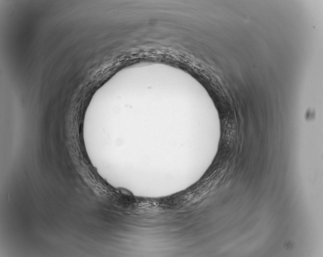 X0000103491489200810031553