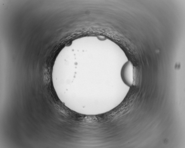 X0000103491491200810031553