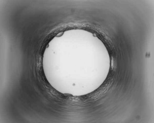 X0000103491492200810031553