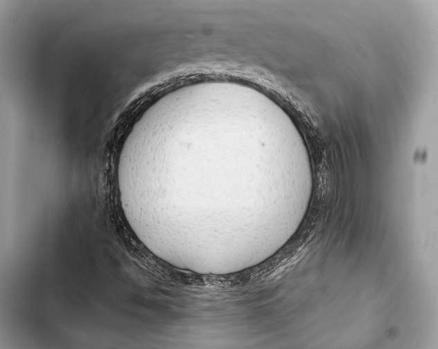 X0000103491494200810031553