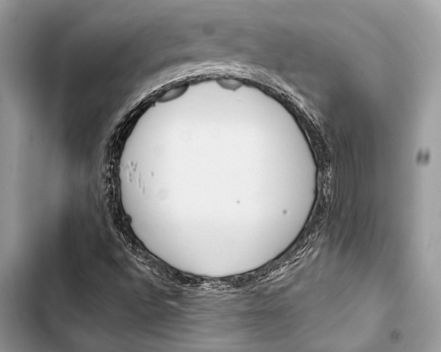 X0000103491496200810031553