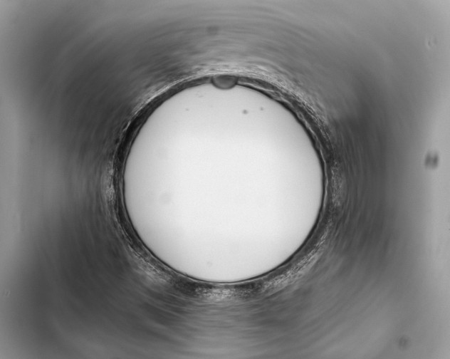 X0000103491497200810031553