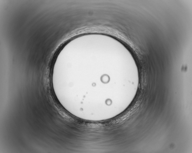 X0000103491498200810031553