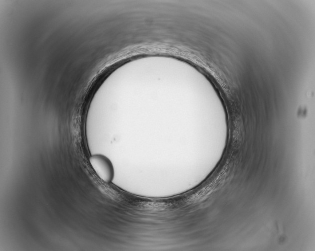 X0000103491499200810031553