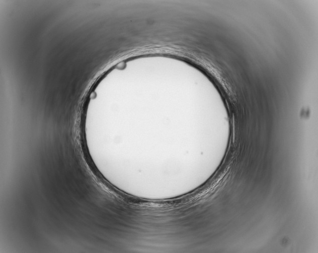 X0000103491500200810031553