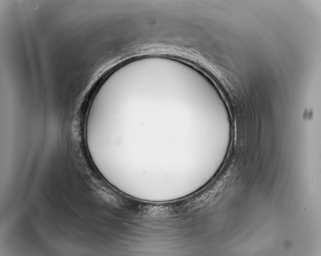 X0000103491501200810031553