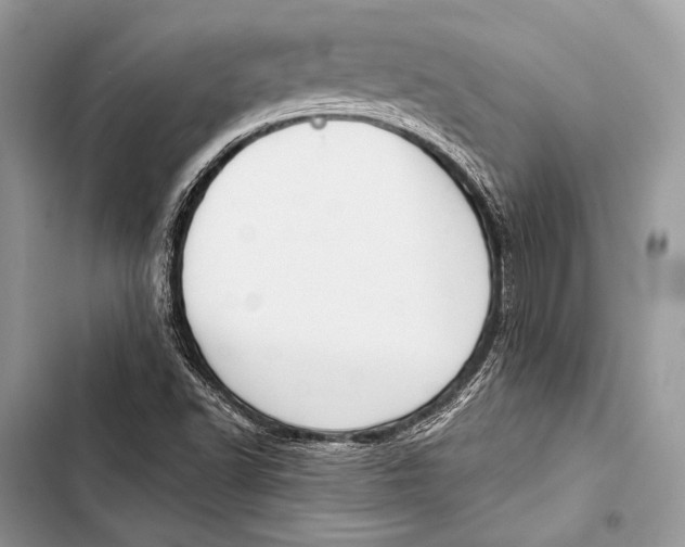 X0000103491502200810031553