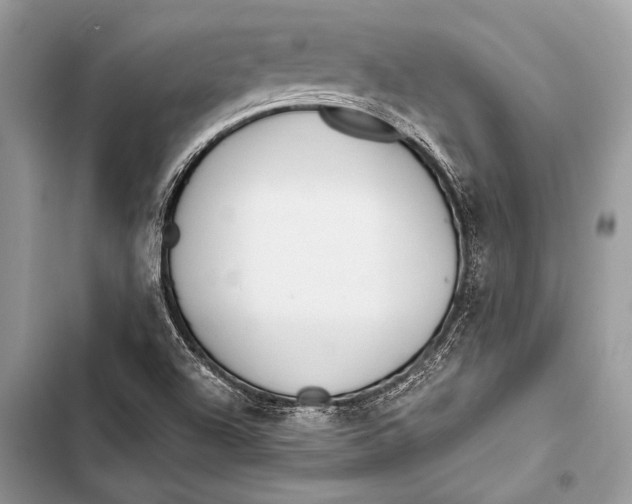 X0000103491504200810031553