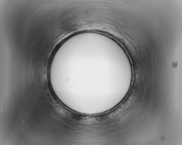 X0000103491505200810031553