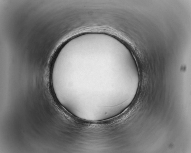 X0000103491506200810031553