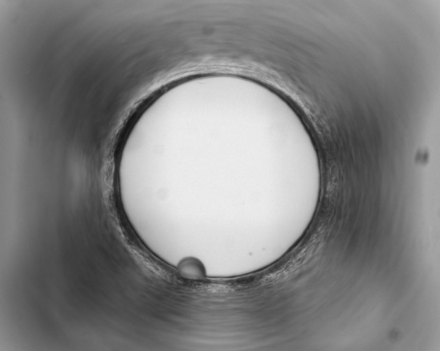 X0000103491507200810031553