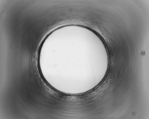 X0000103491508200810031553