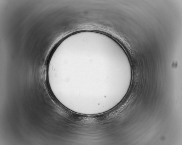 X0000103491509200810031553