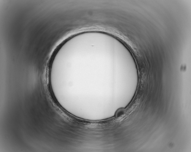 X0000103491510200810031553