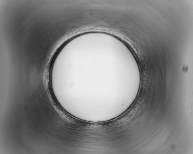 X0000103491511200810031553