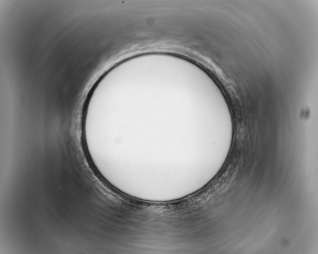 X0000103491512200810031553