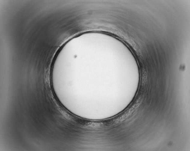 X0000103491513200810031553