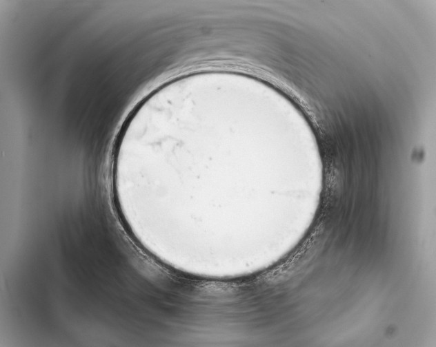 X0000103491514200810031553