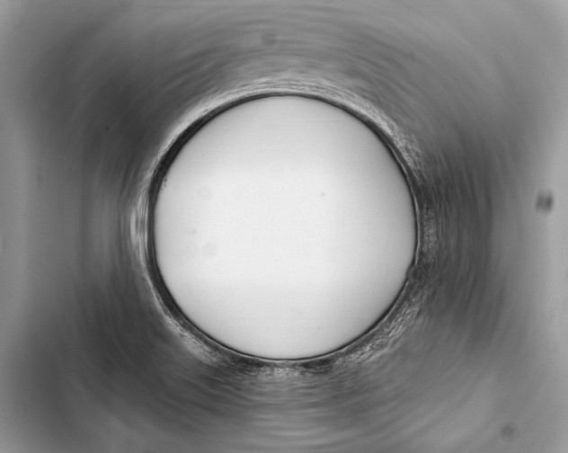 X0000103491515200810031553