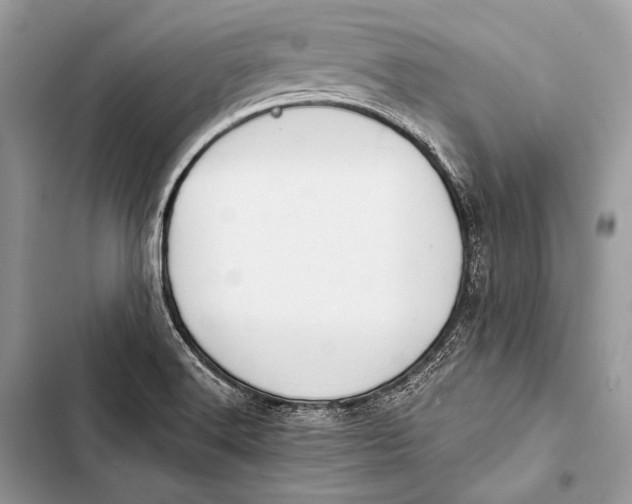 X0000103491516200810031553