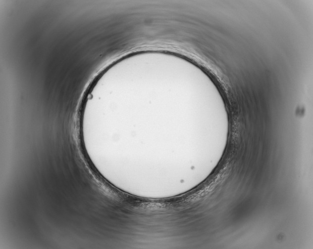 X0000103491517200810031553