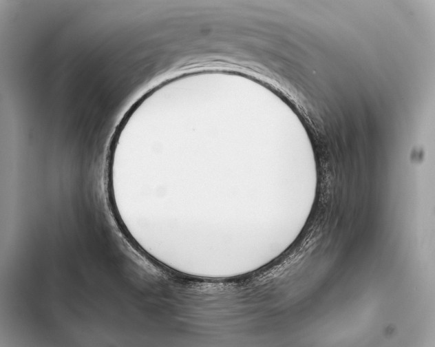 X0000103491518200810031553