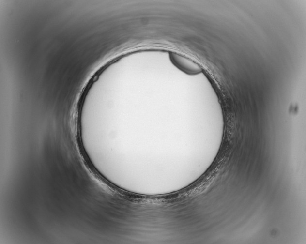 X0000103491519200810031553