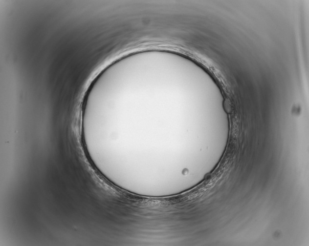 X0000103491520200810031553